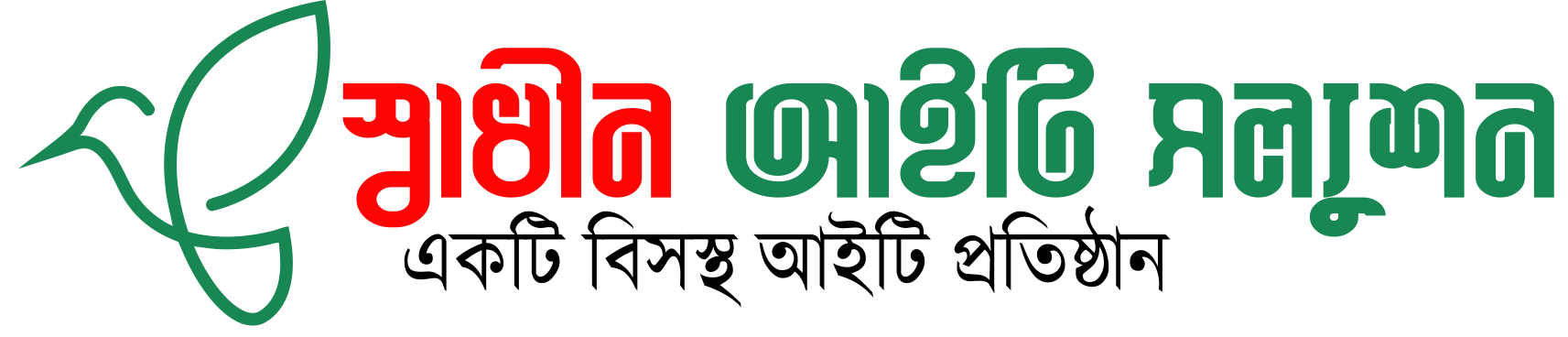 স্বাধীন আইটি সল্যুশন